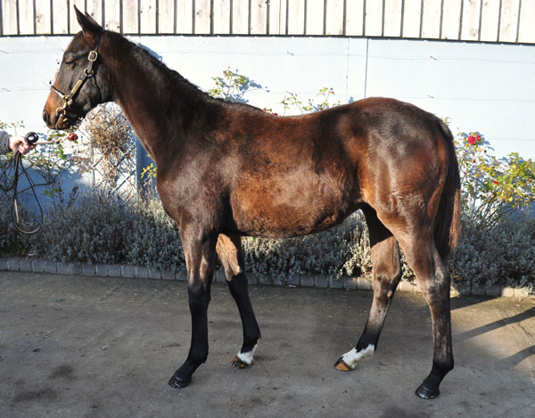 lot 796